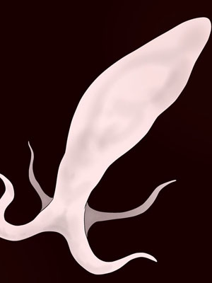 โดจิน ตัวดูดสเปิร์มแสนโหด อ่านการ์ตูนโป๊ Doujin thai แปลไทย