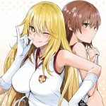 โดจิน สองสาวพี่น้องผลัดกันสู้