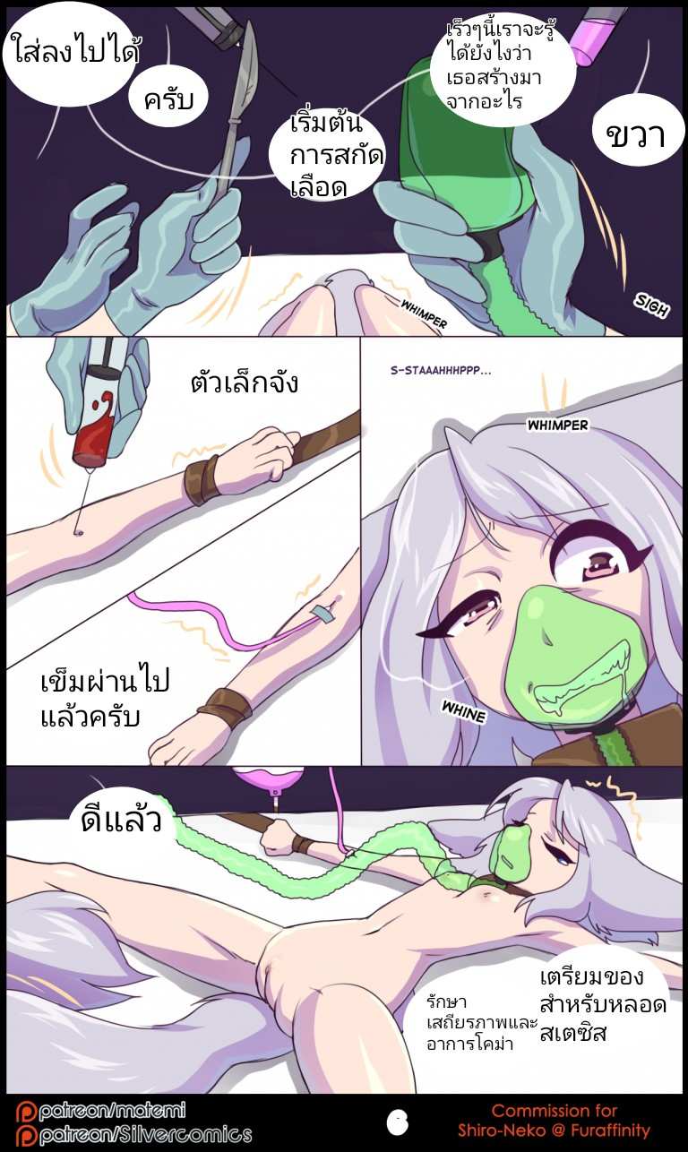 โดจิน ต้นกำเนิด ซีเวอร์ ฮาวเอเวอร์ รูป 7