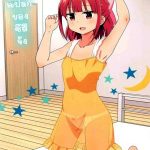 โดจิน ความแปลกของซึสึจัง