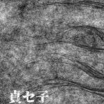 โดจิน พิธีกรรมคืนชีพผีสาว2 จบ