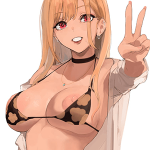 โดจิน ชอบก็บอก