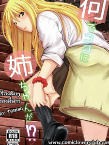 เรื่องลับๆของพี่สาว (C97) [Junk Box (Mutsuki)] Nande Koko ni Nee-chan ga!