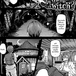 โดจิน แม่มดขยี้ใจ